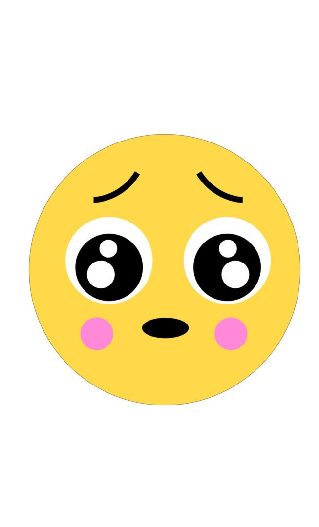 Modelo webcam que significa